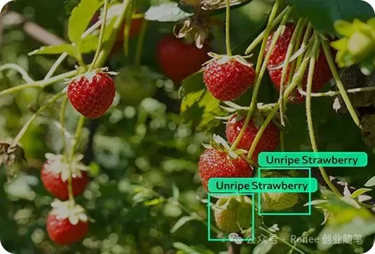 吴恩达最新发布Agent目标检测：Agentic Object Detection-AI资源导航站