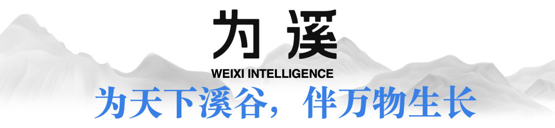 陈龙｜DeepSeek的中国式创新：新的AI经济学-AI资源导航站