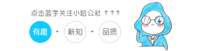 OpenAI周活4亿，占世界人口5%-AI资源导航站