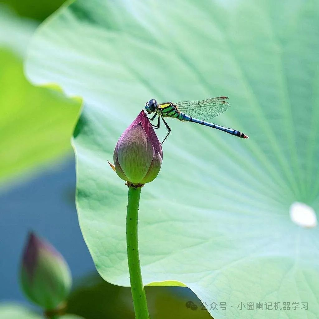 万字长文全面解读YOLO的前世今生：从 YOLO-v1 到 YOLO-v12-AI资源导航站