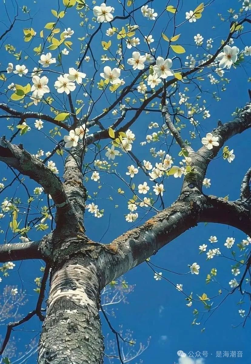 深入理解Reasoning LLMs-AI资源导航站