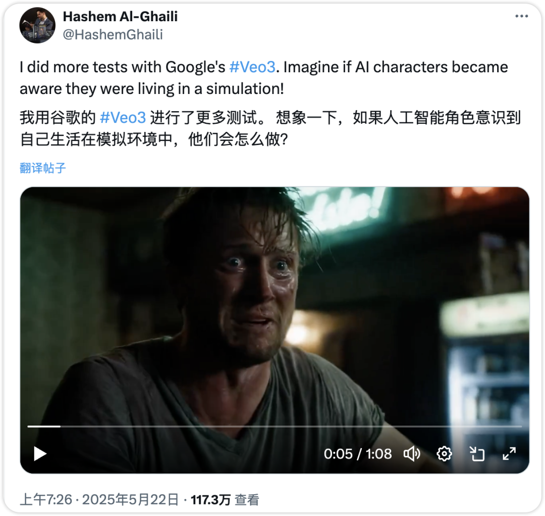 “救救我，改掉这个Prompt！”—谷歌Veo3时代，被Prompt操控的“数字生命”在呐喊（附Prompt思路）-AI资源导航站