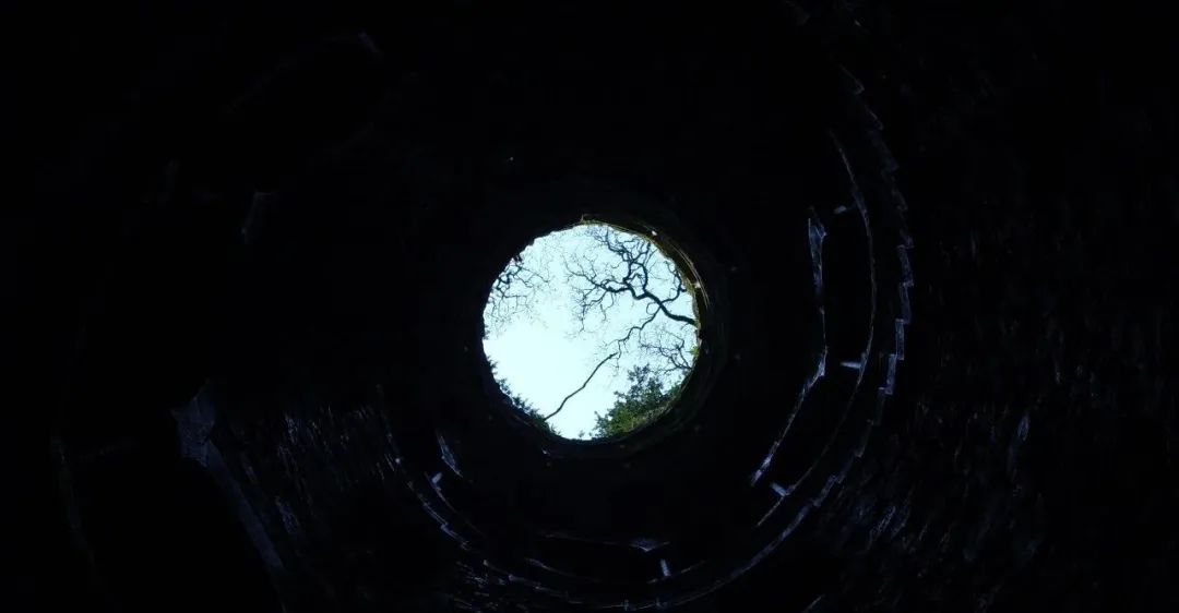 从黑箱到显微镜：大模型可解释性的现状与未来-AI资源导航站