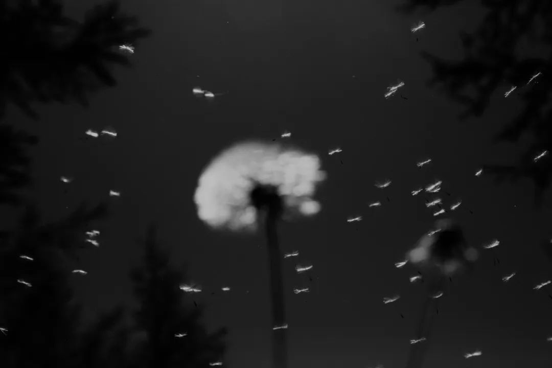 深度拆解：为什么通用 Agent 的下一站是 Agentic Browser？-AI资源导航站