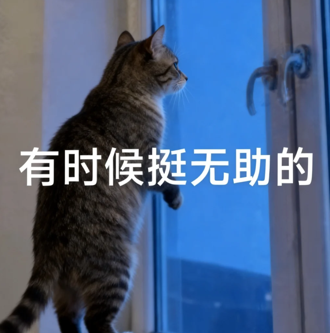 刚刚，国产Agent模型闯入全球第一梯队！限时免费-AI资源导航站